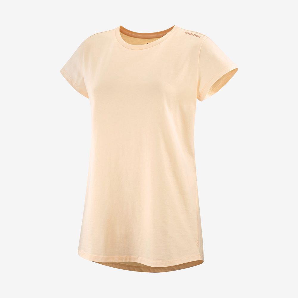 Beige Women's Salomon OUTLIFE SCOOP HEM W Short Sleeve T Shirts | 730-IDRMWZ