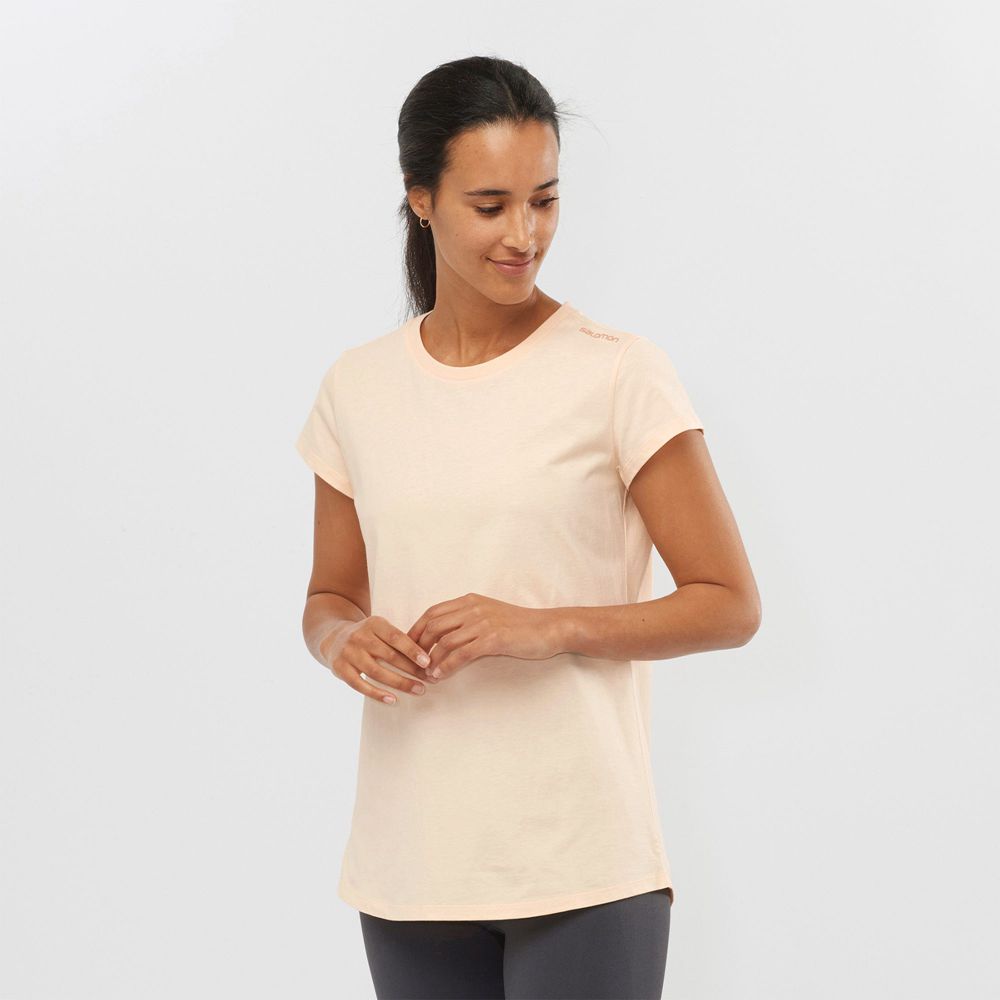 Beige Women\'s Salomon OUTLIFE SCOOP HEM W Short Sleeve T Shirts | 730-IDRMWZ