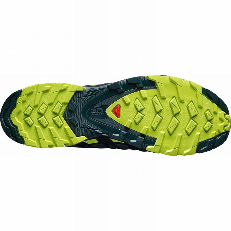 Black / Light Green Men's Salomon XA PRO 3D V8 GORE-TEX Trail Running Shoes | 059-AGOJUM