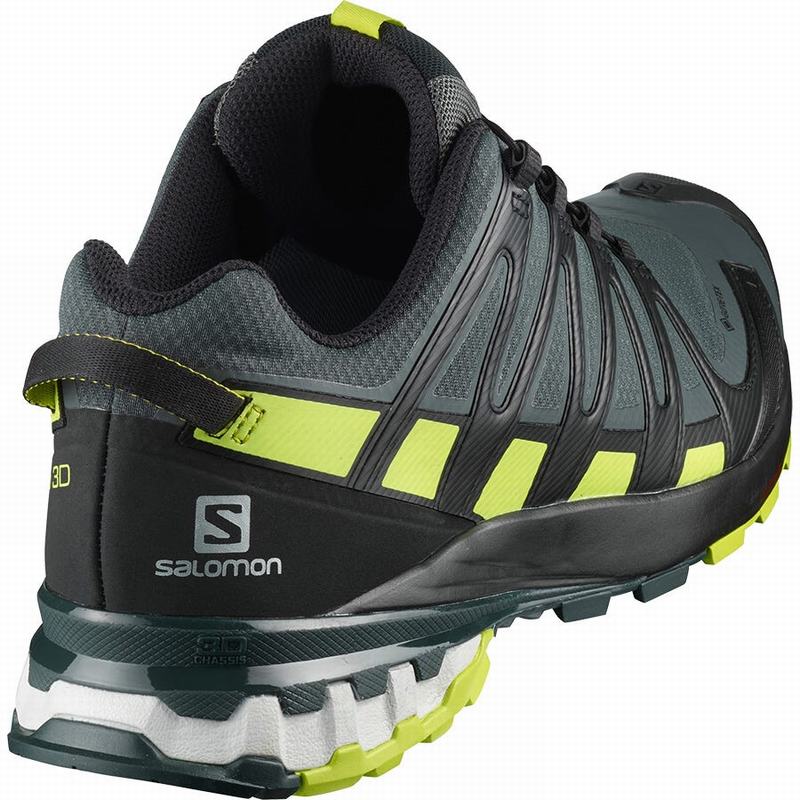 Black / Light Green Men's Salomon XA PRO 3D V8 GORE-TEX Trail Running Shoes | 059-AGOJUM