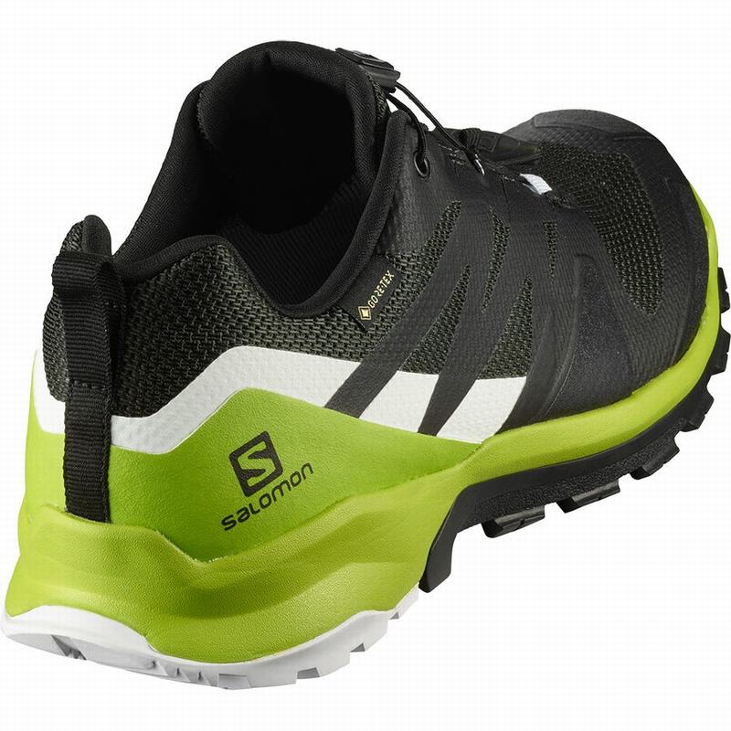 Black / Light Green Men's Salomon XA ROGG GTX Hiking Shoes | 879-GAYHDU