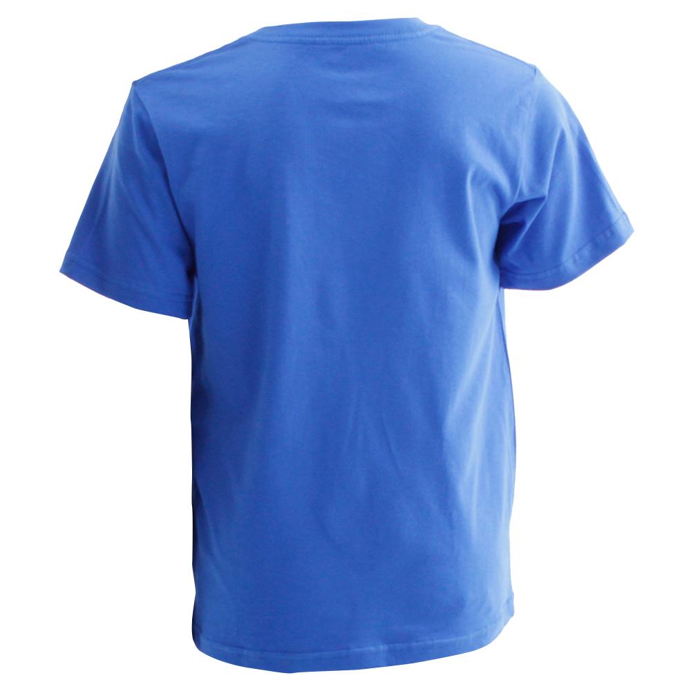 Blue Kids' Salomon ACHIEVE SS B T Shirts | 561-MCIPSU