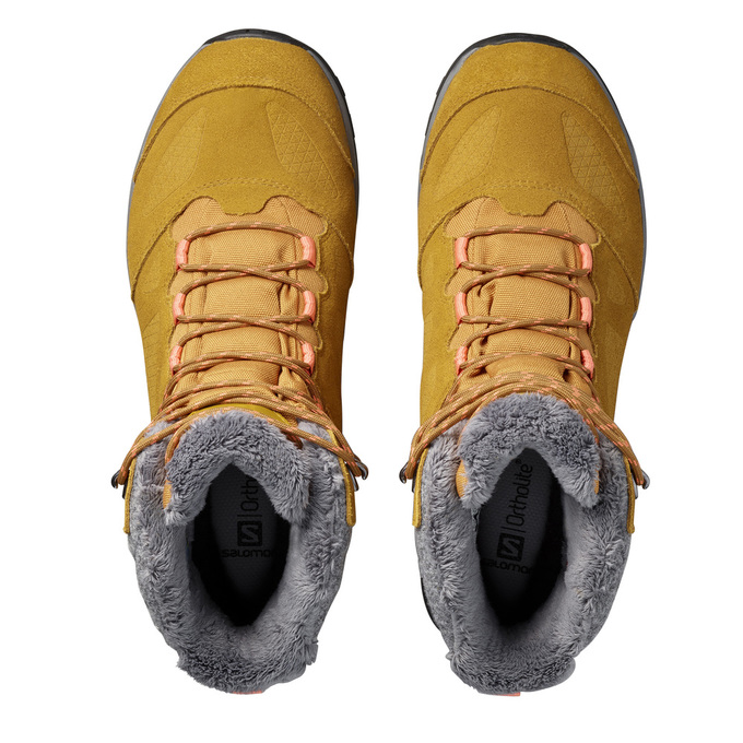 Brown Men's Salomon ELLIPSE GTX Winter Boots | 452-ZCVUAI