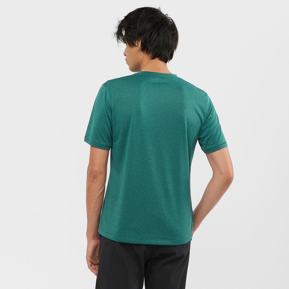 Green Men's Salomon EXPLORE M Short Sleeve T Shirts | 267-WTQHUK