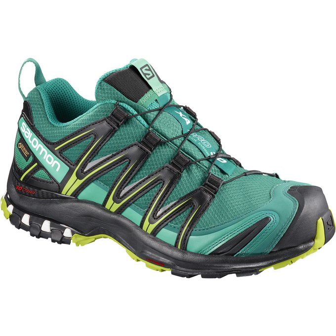 Green Women\'s Salomon XA PRO 3D GTX W Trail Running Shoes | 104-ETPLBK