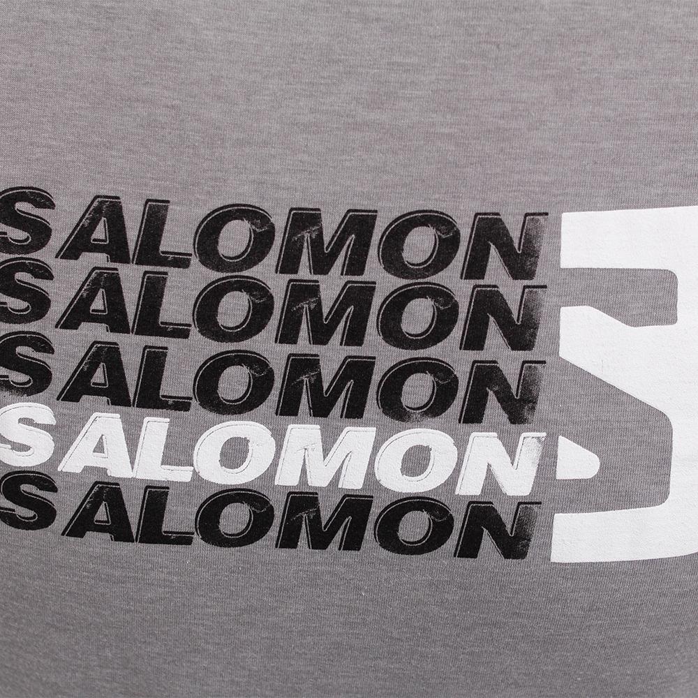 Grey Men's Salomon STANDOUT SS M T Shirts | 687-AZITUG