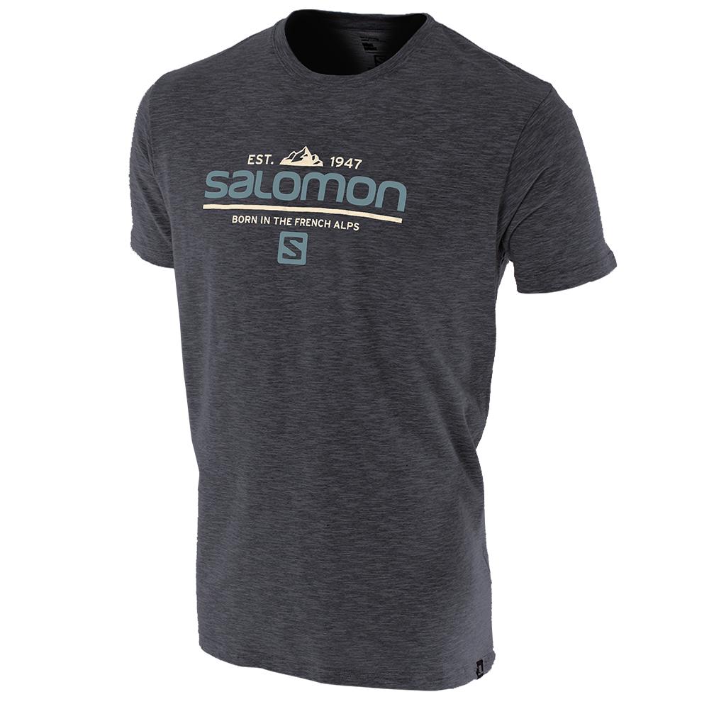 Grey Men\'s Salomon VISIONARY SS M T Shirts | 847-OTQMLW