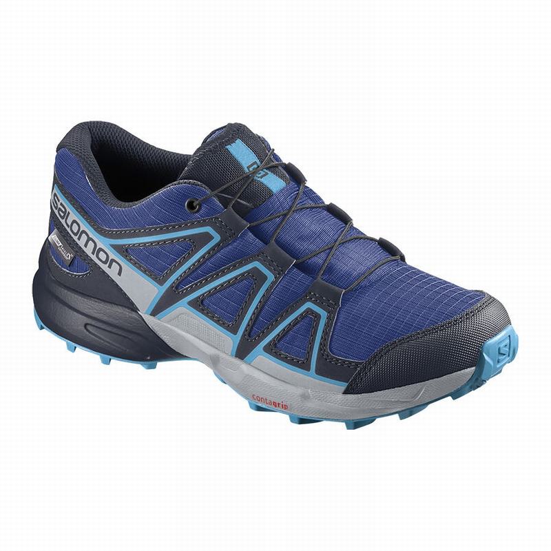 Navy / Blue Kids\' Salomon SPEEDCROSS CLIMASALOMON WATERPROOF Trail Running Shoes | 068-JVCPLN