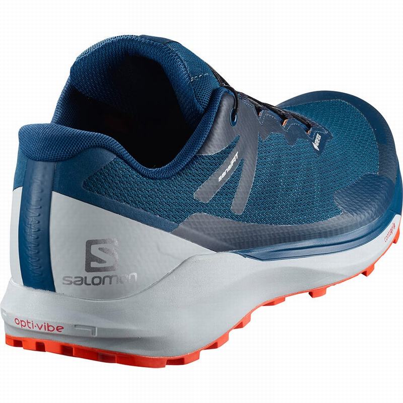 Navy Men's Salomon SENSE RIDE 3 GTX INVIS. FIT Running Shoes | 245-CJZTPU