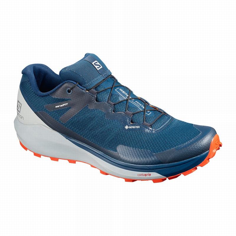 Navy Men\'s Salomon SENSE RIDE 3 GTX INVIS. FIT Running Shoes | 245-CJZTPU