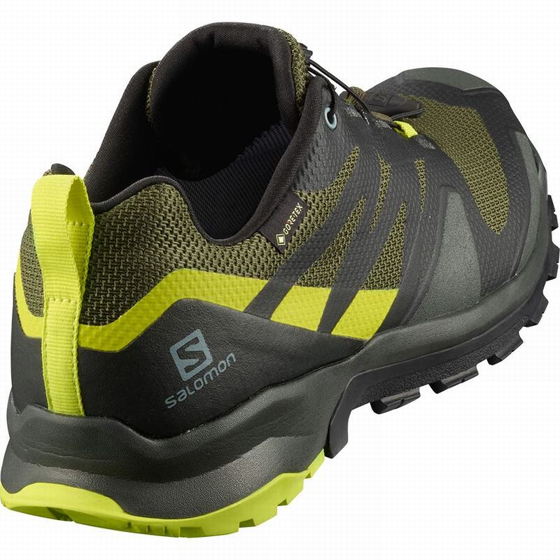 Olive / Light Yellow Men's Salomon XA ROGG GTX Hiking Shoes | 916-GXCWMQ