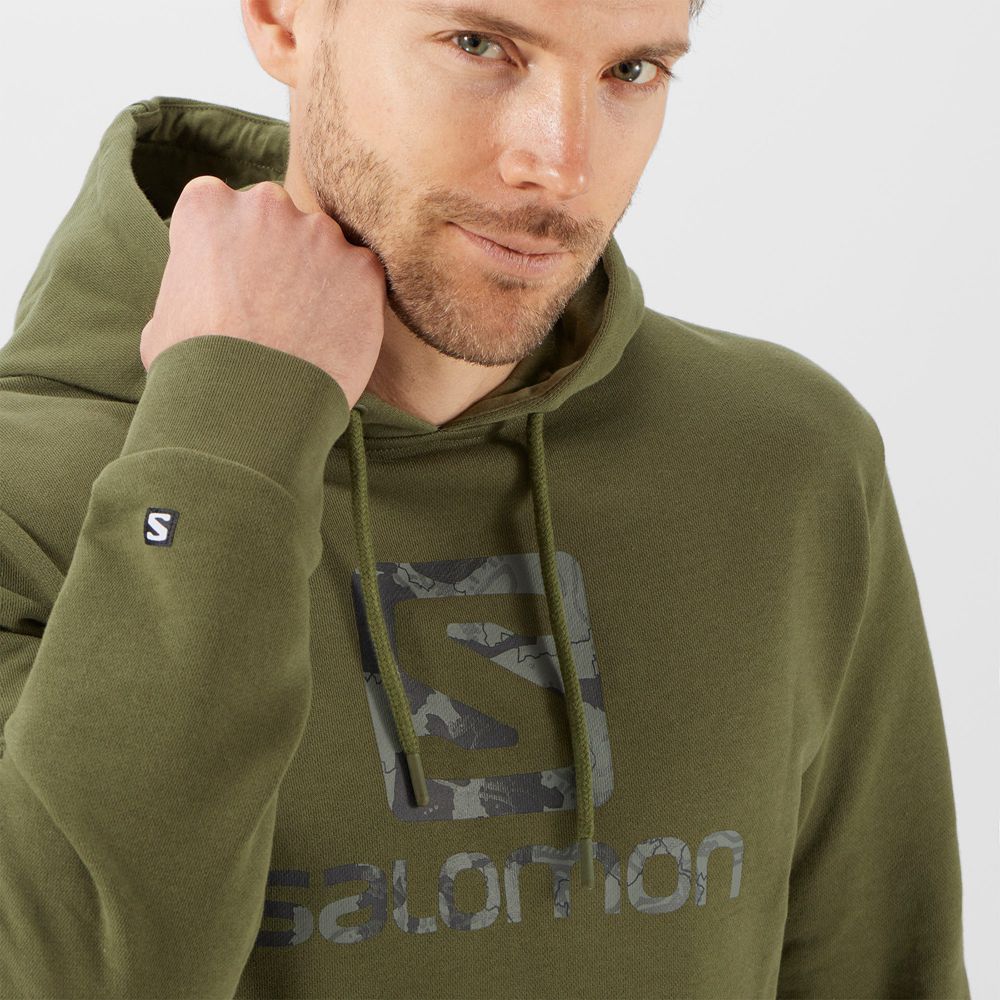 Olive Men's Salomon OUTLIFE LOGO SUMMER Sportswear Hoodie | 391-PXJOLE