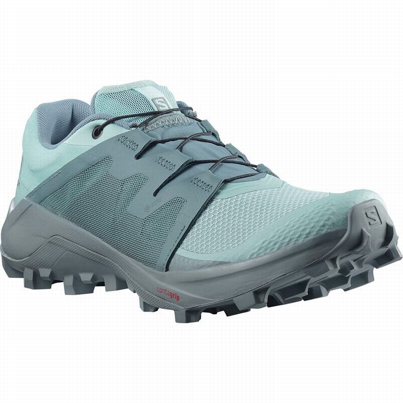 Turquoise / Turquoise Women's Salomon WILDCROSS GTX Trail Running Shoes | 903-TOUXIQ