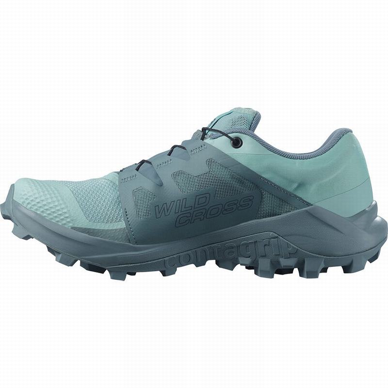 Turquoise / Turquoise Women's Salomon WILDCROSS GTX Trail Running Shoes | 903-TOUXIQ