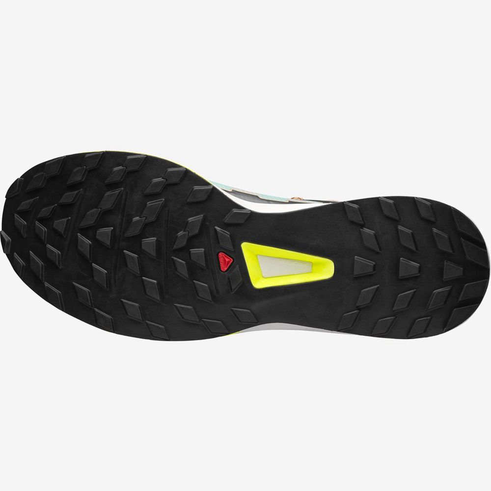 Yellow Men's Salomon ULTRA RAID Sneakers | 103-HISCRP