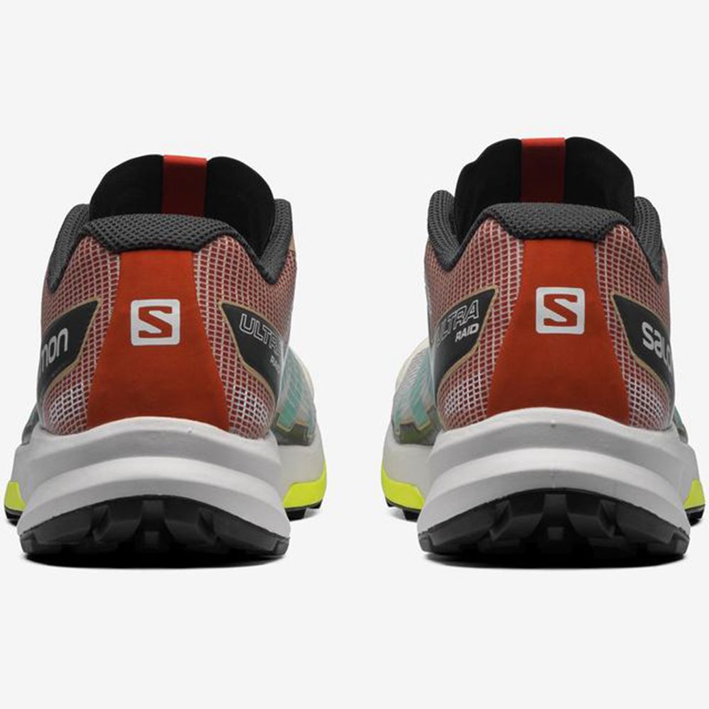 Yellow Men's Salomon ULTRA RAID Sneakers | 103-HISCRP