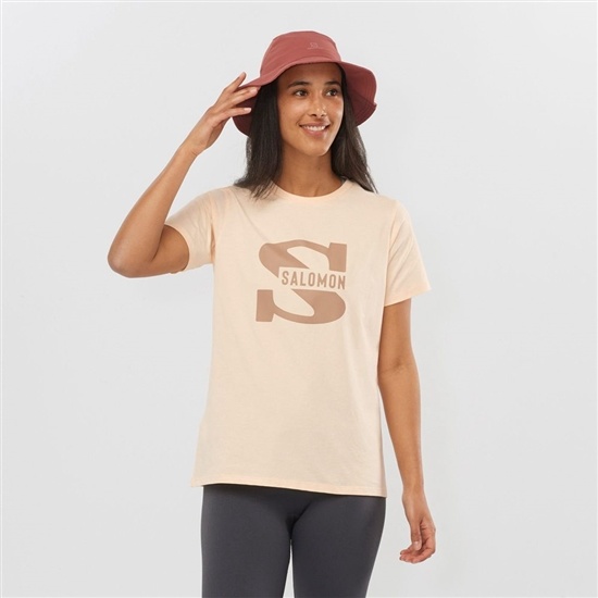 Beige Women's Salomon OUTLIFE BIG LOGO Short Sleeve T Shirts | 271-CBISWV