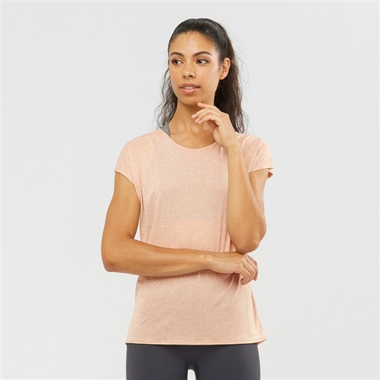 Beige Women's Salomon XA SLEEVE TECH W Short Sleeve T Shirts | 784-OWMYDC