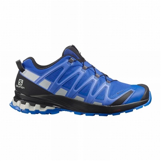 Black / Blue Men's Salomon XA PRO 3D V8 GORE-TEX Hiking Shoes | 963-VBSDKA