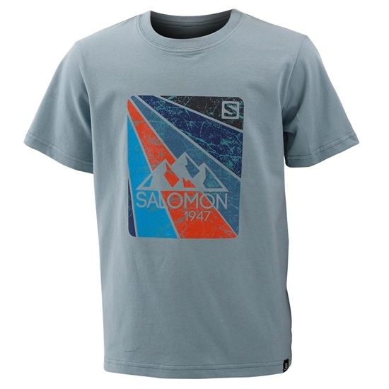 Blue Kids' Salomon CARSON SS B T Shirts | 361-JWUFTO