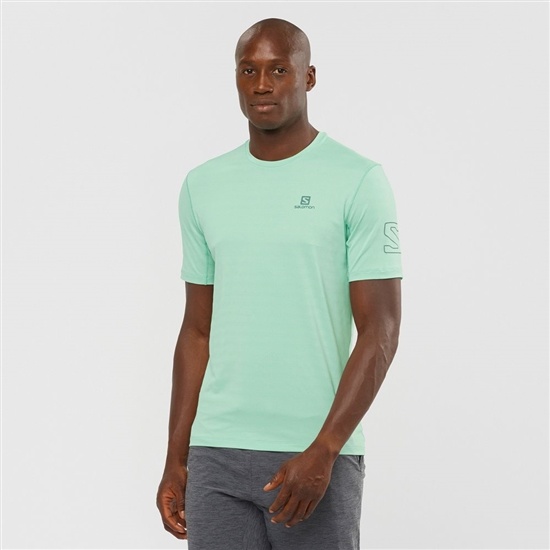 Blue Men's Salomon OUTLINE New Trail Running Gear T Shirts | 830-TNOUPF