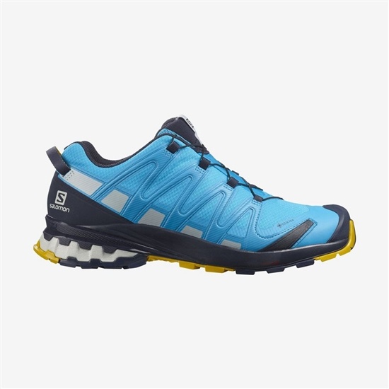 Blue Men's Salomon XA PRO 3D V8 GORE-TEX Hiking Shoes | 170-KSATPU