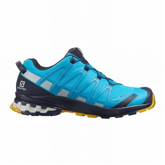 Blue Men's Salomon XA PRO 3D V8 GORE-TEX Trail Running Shoes | 189-PMSCBO