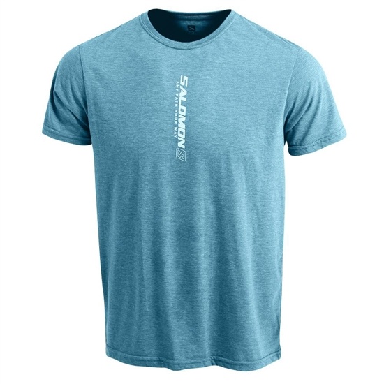 Blue Men's Salomon YAEL SS M T Shirts | 238-XLITWD