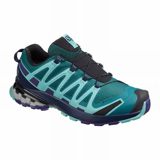 Blue Women's Salomon XA PRO 3D V8 GORE-TEX Hiking Shoes | 659-BEWYCT