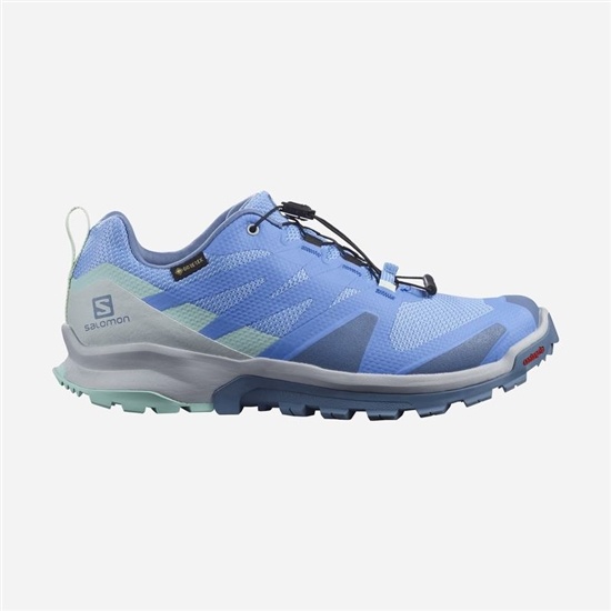 Blue Women's Salomon XA ROGG GTX W Trail Running Shoes | 856-FYIMBZ