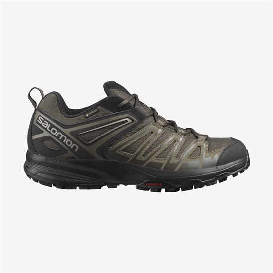 Brown Men's Salomon X CREST GORE-TEX Hiking Shoes | 204-IPSJFV