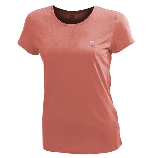 Coral Women's Salomon LOGO SS W T Shirts | 165-XIYGMZ