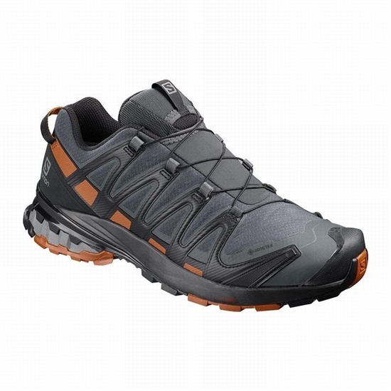 Dark Blue / Black Men's Salomon XA PRO 3D V8 GORE-TEX Trail Running Shoes | 627-BCPVKR