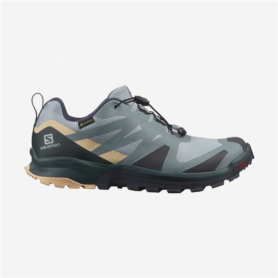 Green / Cream Women's Salomon XA ROGG GTX W Trail Running Shoes | 039-GUPXWL