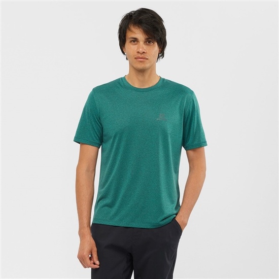 Green Men's Salomon EXPLORE M Short Sleeve T Shirts | 267-WTQHUK