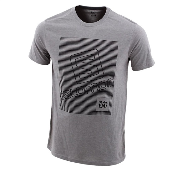 Grey Men's Salomon FINELINE SS M T Shirts | 245-MNPQZE