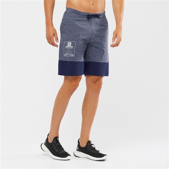 Grey / Navy Men's Salomon XA TRAINING Shorts | 270-XFOWDE