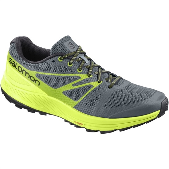 Grey / Yellow Men's Salomon SENSE ESE Trail Running Shoes | 615-VSDKRO