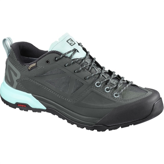 Light Blue / Black Men's Salomon X ALP SPRY GTX W Hiking Boots | 834-FXRGQL