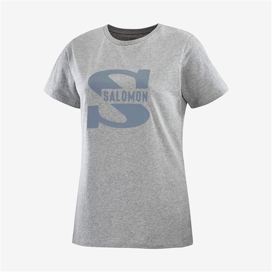 Mid Grey Women's Salomon OUTLIFE BIG LOGO Short Sleeve T Shirts | 720-WYTRAE