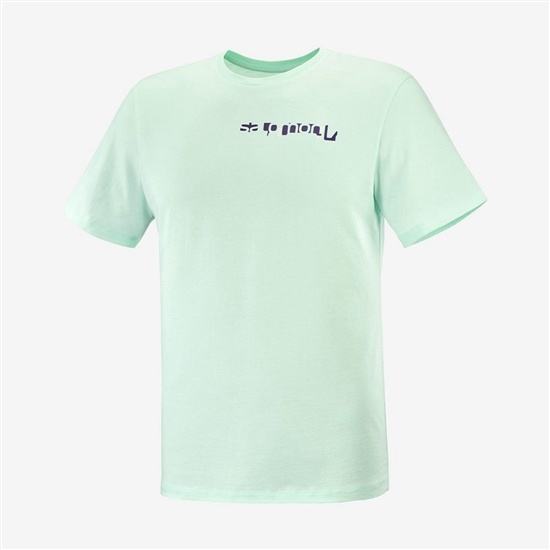 Mint Men's Salomon OUTLIFE GRAPHIC DISRUPTED TYPE SS M Short Sleeve T Shirts | 354-JRMQOP