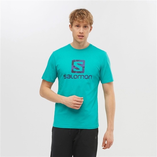 Mint Men's Salomon OUTLIFE LOGO Short Sleeve T Shirts | 375-NGCVTK