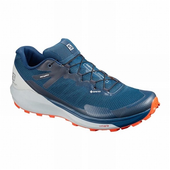 Navy Men's Salomon SENSE RIDE 3 GTX INVIS. FIT Running Shoes | 245-CJZTPU