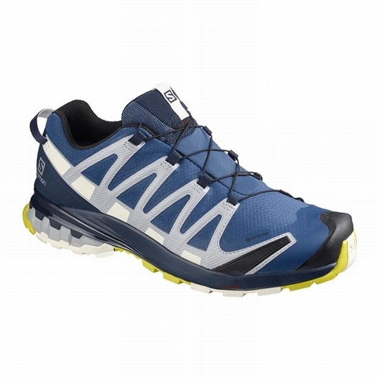 Navy Men's Salomon XA PRO 3D V8 GORE-TEX Trail Running Shoes | 246-KVOBYW