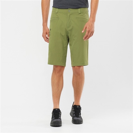 Olive Green Men's Salomon WAYFARER ALL SEASON STRAIGHT M Shorts | 702-VLOUQX