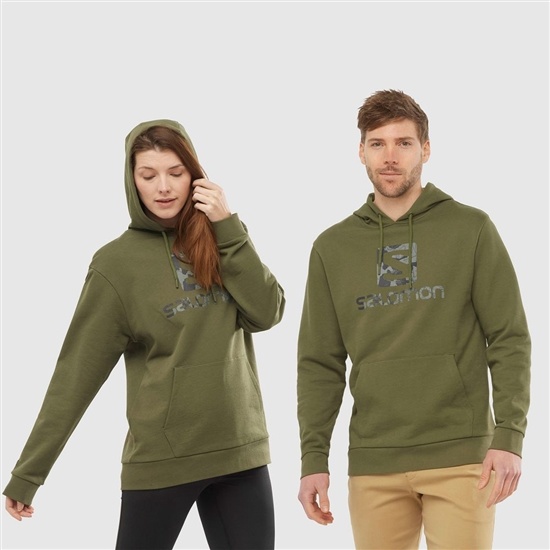 Olive Men's Salomon OUTLIFE LOGO SUMMER Sportswear Hoodie | 391-PXJOLE