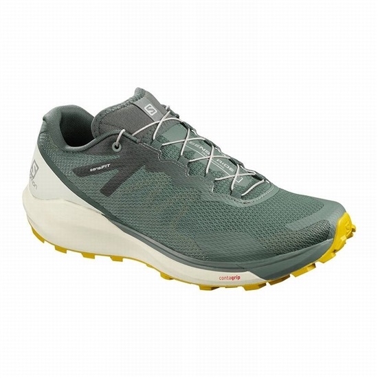 Olive Men's Salomon SENSE RIDE 3 Running Shoes | 168-ZKMBQX