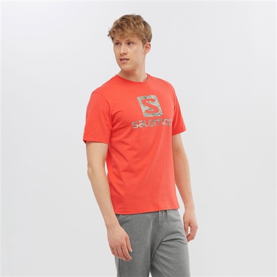 Orange Men's Salomon OUTLIFE LOGO Short Sleeve T Shirts | 586-APVGFZ