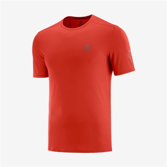 Orange Men's Salomon XA TRAIL Short Sleeve T Shirts | 826-EADYRZ