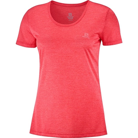 Orangered Women's Salomon AGILE SS W T Shirts | 746-UVOLQE